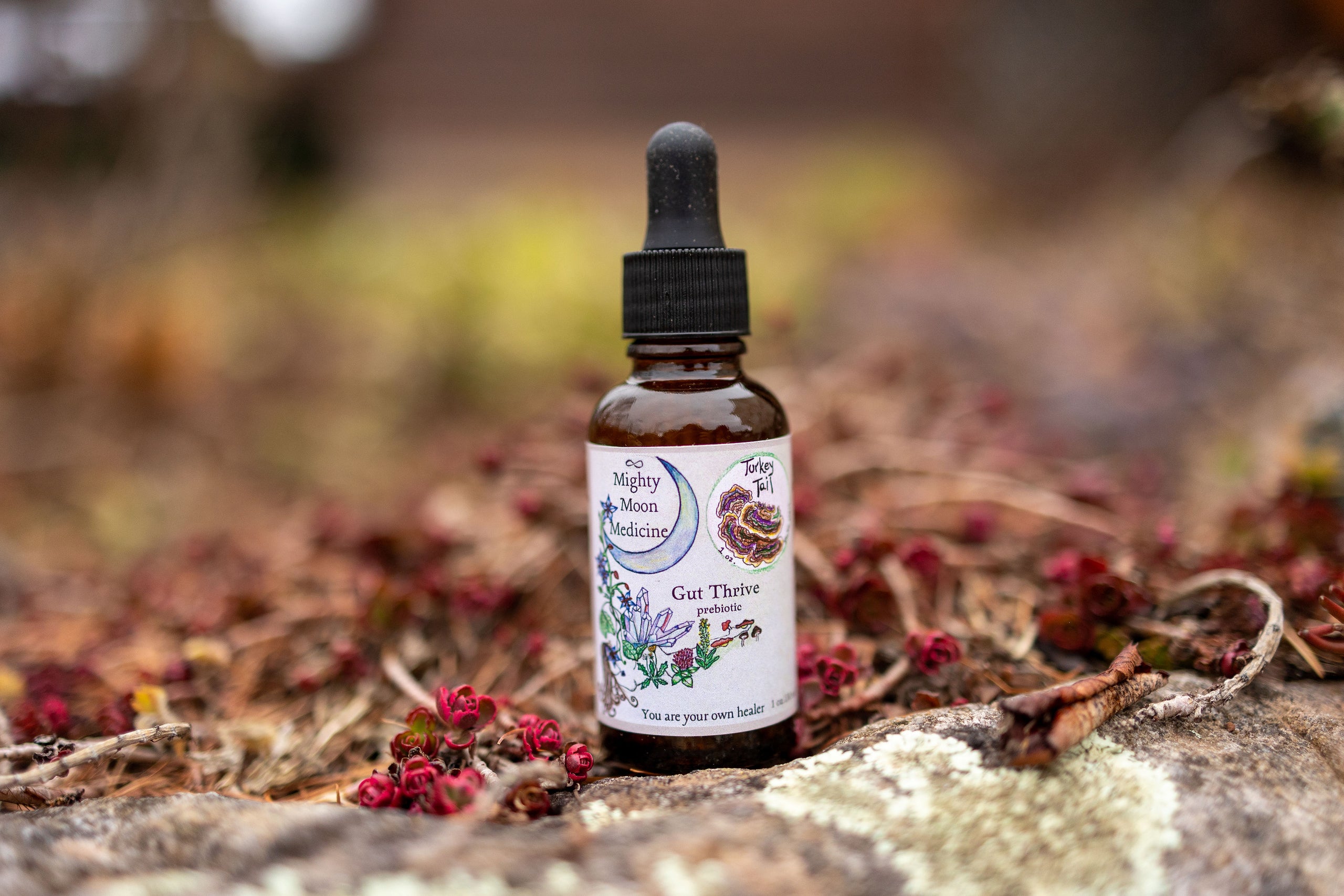 A Little Bit Of Homestead Turkey Tail Tincture Recipe